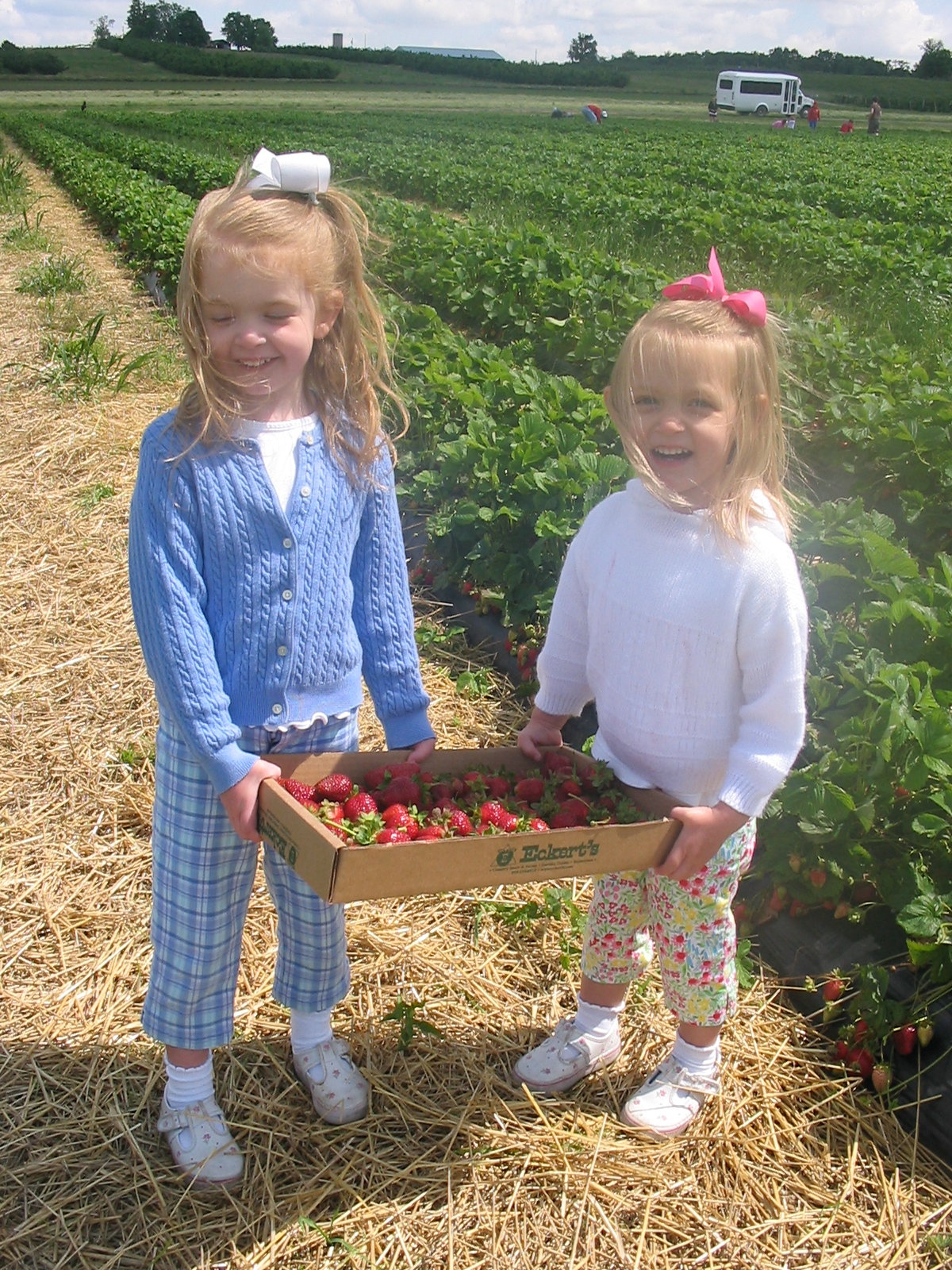 2007_05_17 Strawberry picking with Jane and Cate.jpg